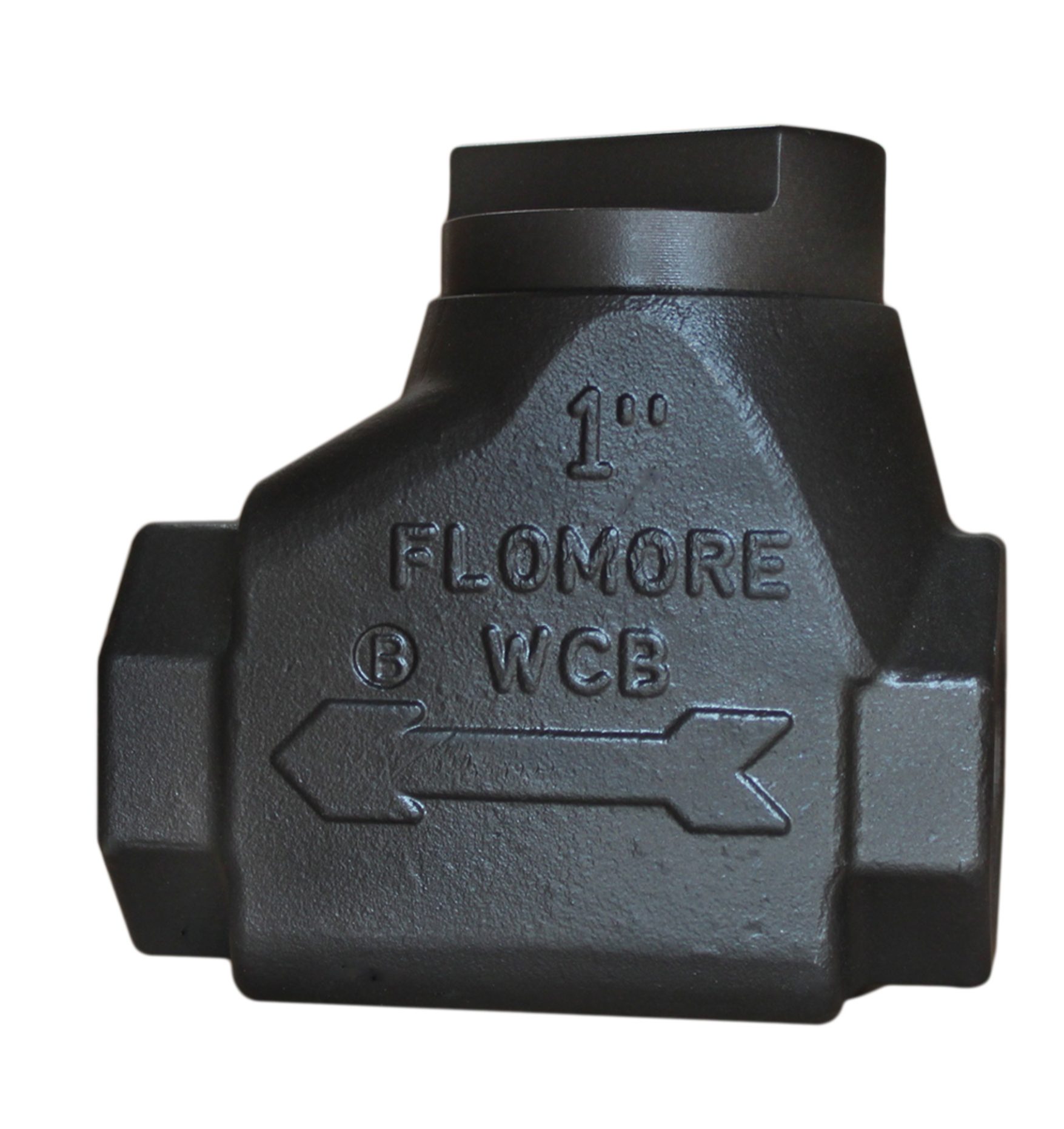 5000# Steel Swing Check